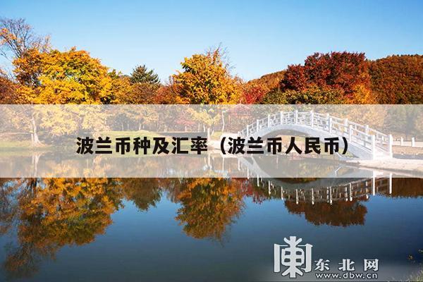 波兰币种及汇率(波兰币人民币)