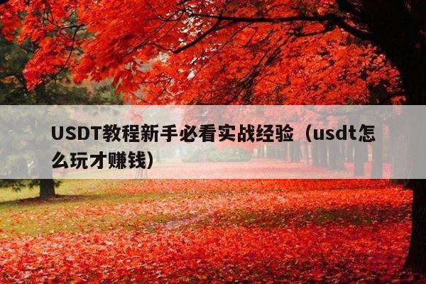 USDT教程新手必看实战经验(usdt怎么玩才赚钱)