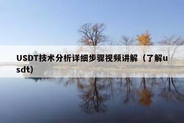 USDT技术分析详细步骤视频讲解(了解usdt)
