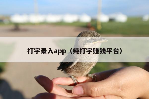 打字录入app(纯打字赚钱平台)