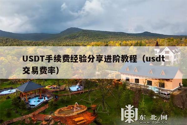 USDT手续费经验分享进阶教程(usdt交易费率)