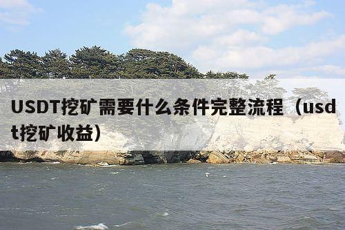 USDT挖矿需要什么条件完整流程(usdt挖矿收益)