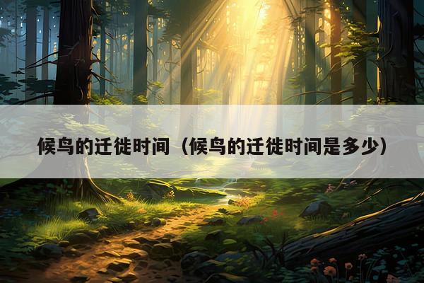 候鸟的迁徙时间(候鸟的迁徙时间是多少)