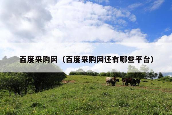 百度采购网(百度采购网还有哪些平台)