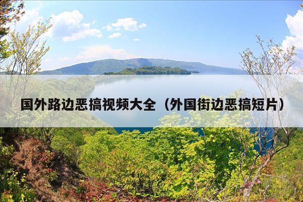 国外路边恶搞视频大全(外国街边恶搞短片)