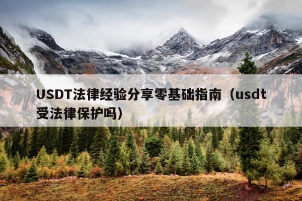 USDT法律经验分享零基础指南(usdt受法律保护吗)