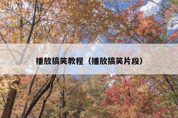 播放搞笑教程(播放搞笑片段)