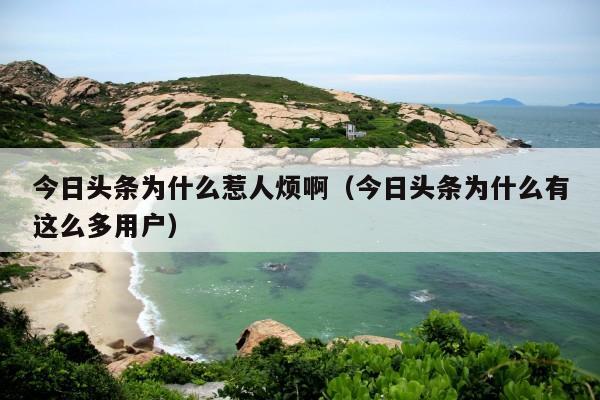今日头条为什么惹人烦啊(今日头条为什么有这么多用户)