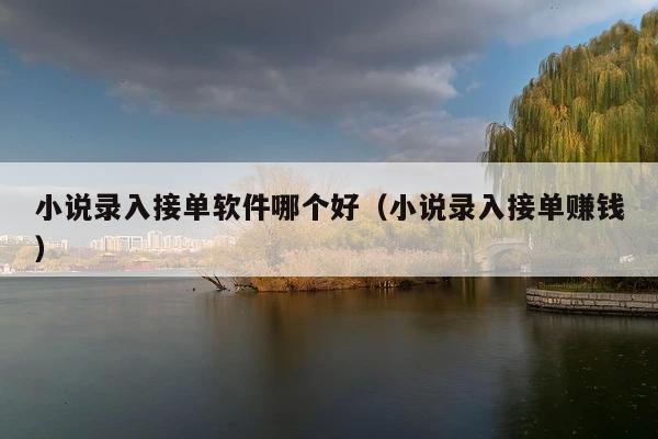 小说录入接单软件哪个好(小说录入接单赚钱)