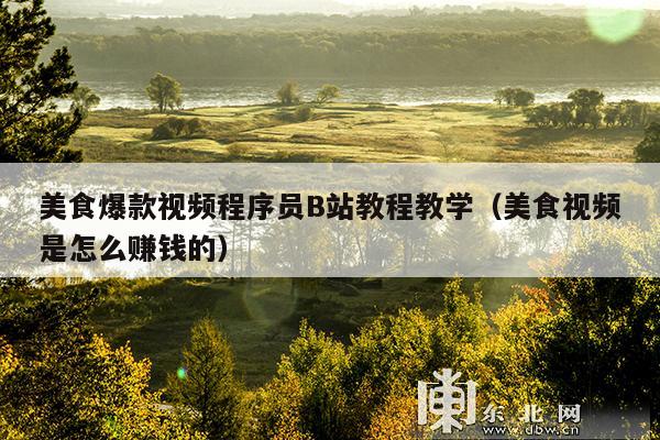 美食爆款视频程序员B站教程教学(美食视频是怎么赚钱的)
