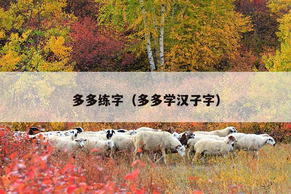 多多练字(多多学汉子字)