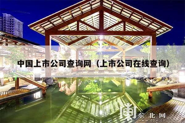 中国上市公司查询网(上市公司在线查询)