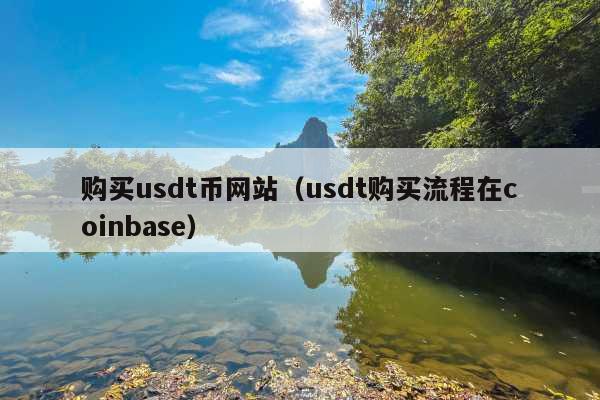 购买usdt币网站(usdt购买流程在coinbase)