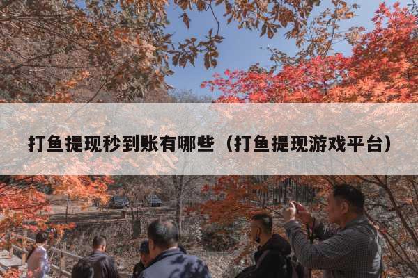 打鱼提现秒到账有哪些(打鱼提现游戏平台)