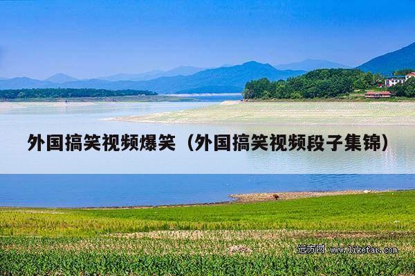 外国搞笑视频爆笑(外国搞笑视频段子集锦)