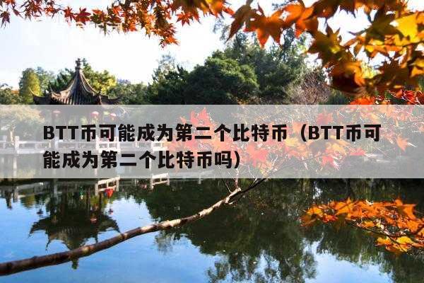 BTT币可能成为第二个比特币(BTT币可能成为第二个比特币吗)