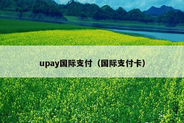 upay国际支付(国际支付卡)