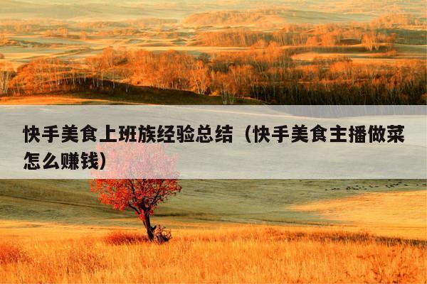 快手美食上班族经验总结(快手美食主播做菜怎么赚钱)