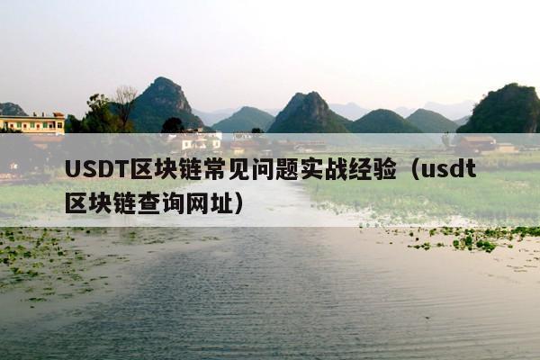 USDT区块链常见问题实战经验(usdt区块链查询网址)