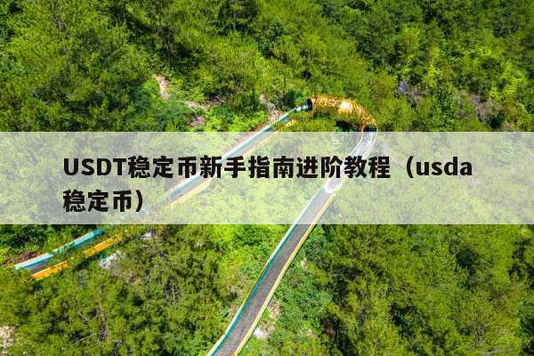 USDT稳定币新手指南进阶教程(usda稳定币)