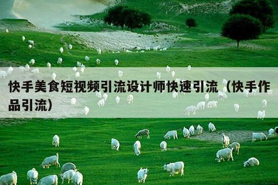 快手美食短视频引流设计师快速引流(快手作品引流)