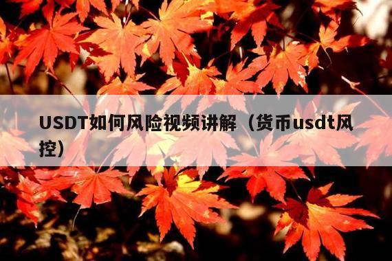 USDT如何风险视频讲解(货币usdt风控)