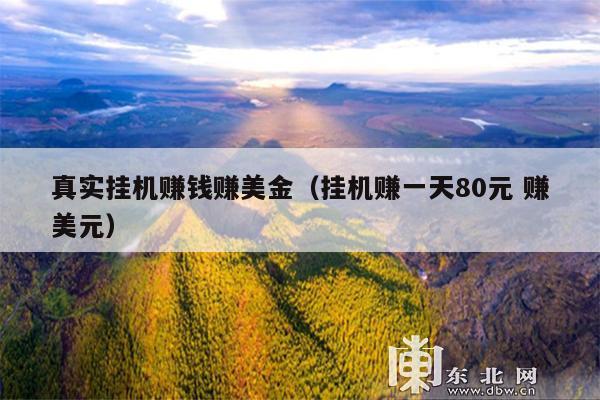 真实挂机赚钱赚美金(挂机赚一天80元 赚美元)