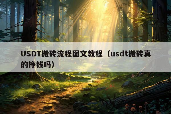 USDT搬砖流程图文教程(usdt搬砖真的挣钱吗)
