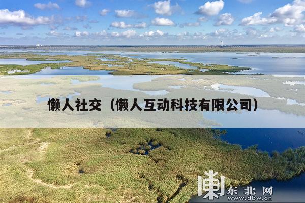 懒人社交(懒人互动科技有限公司)