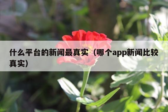 什么平台的新闻最真实(哪个app新闻比较真实)