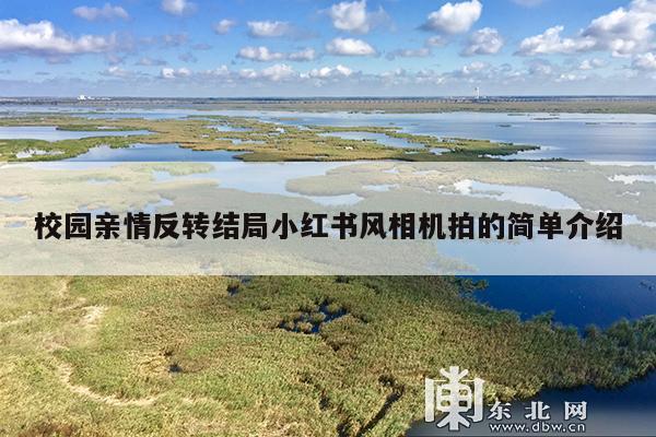 校园亲情反转结局小红书风相机拍的简单介绍