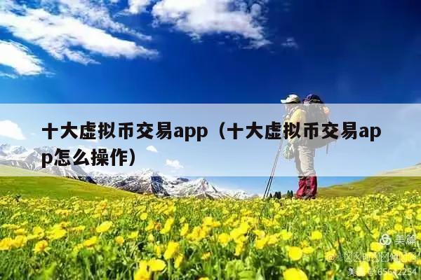 十大虚拟币交易app(十大虚拟币交易app怎么操作)