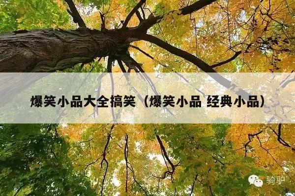 爆笑小品大全搞笑(爆笑小品 经典小品)