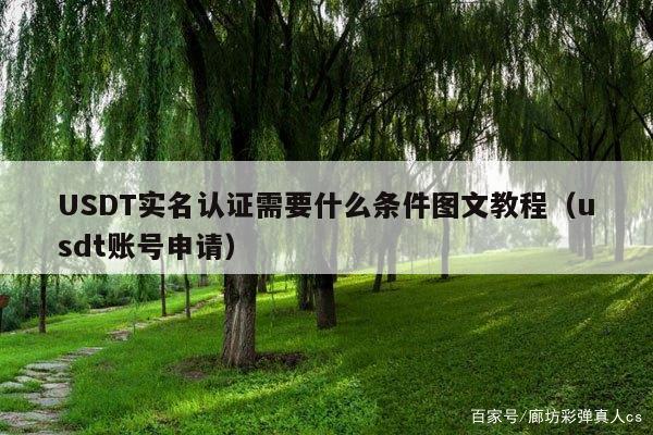 USDT实名认证需要什么条件图文教程(usdt账号申请)