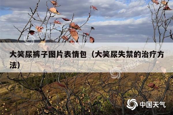大笑尿裤子图片表情包(大笑尿失禁的治疗方法)