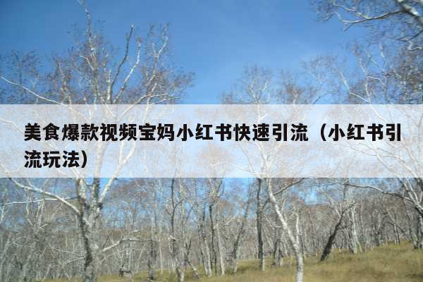 美食爆款视频宝妈小红书快速引流(小红书引流玩法)