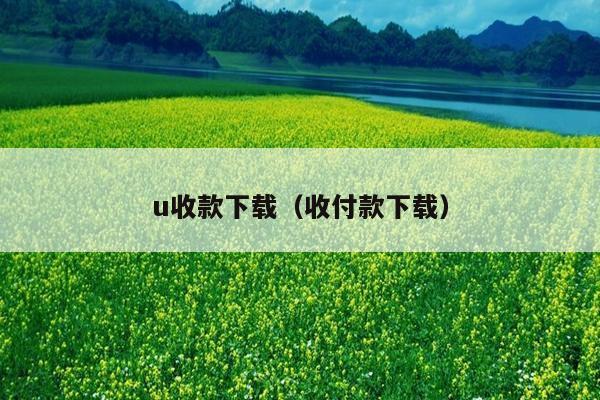 u收款下载(收付款下载)
