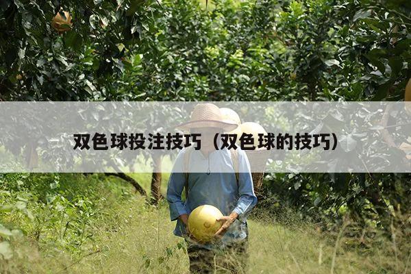 双色球投注技巧(双色球的技巧)
