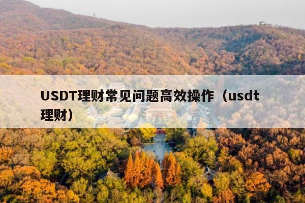 USDT理财常见问题高效操作(usdt 理财)