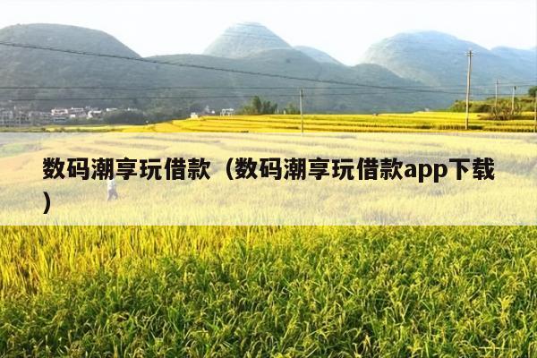 数码潮享玩借款(数码潮享玩借款app下载)