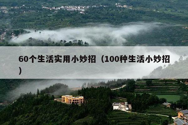 60个生活实用小妙招(100种生活小妙招)