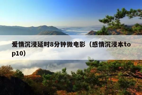 爱情沉浸延时8分钟微电影(感情沉浸本top10)