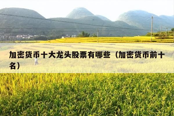加密货币十大龙头股票有哪些(加密货币前十名)