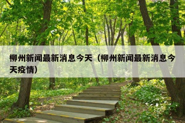 柳州新闻最新消息今天(柳州新闻最新消息今天疫情)