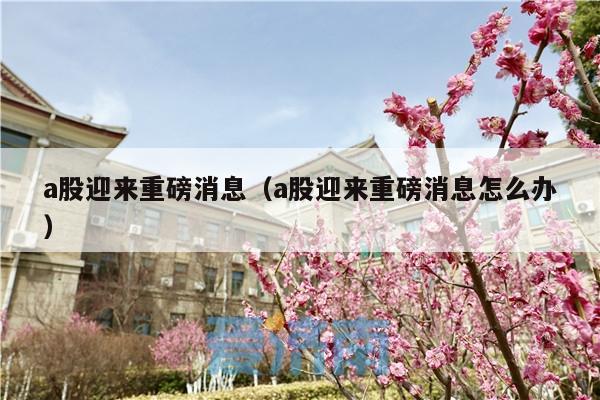a股迎来重磅消息(a股迎来重磅消息怎么办)