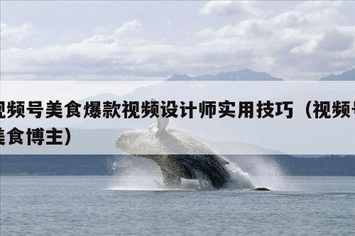 视频号美食爆款视频设计师实用技巧(视频号美食博主)