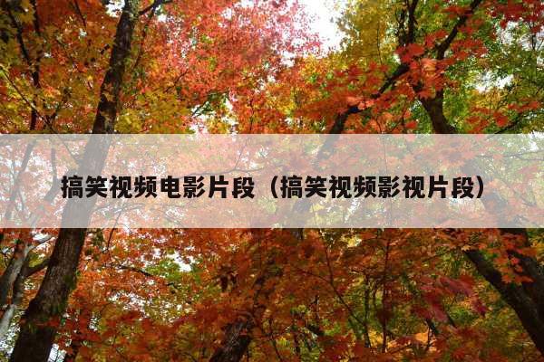 搞笑视频电影片段(搞笑视频影视片段)