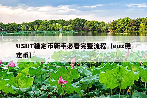 USDT稳定币新手必看完整流程(euz稳定币)
