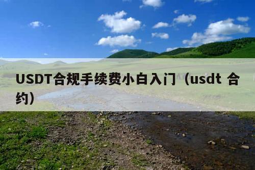 USDT合规手续费小白入门(usdt 合约)