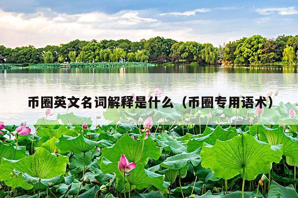 币圈英文名词解释是什么(币圈专用语术)